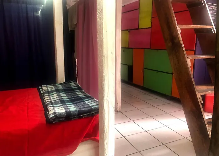 Iguana Hostel Oaxaca