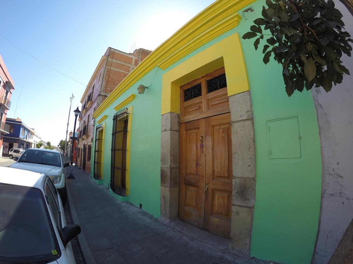 Iguana * Oaxaca