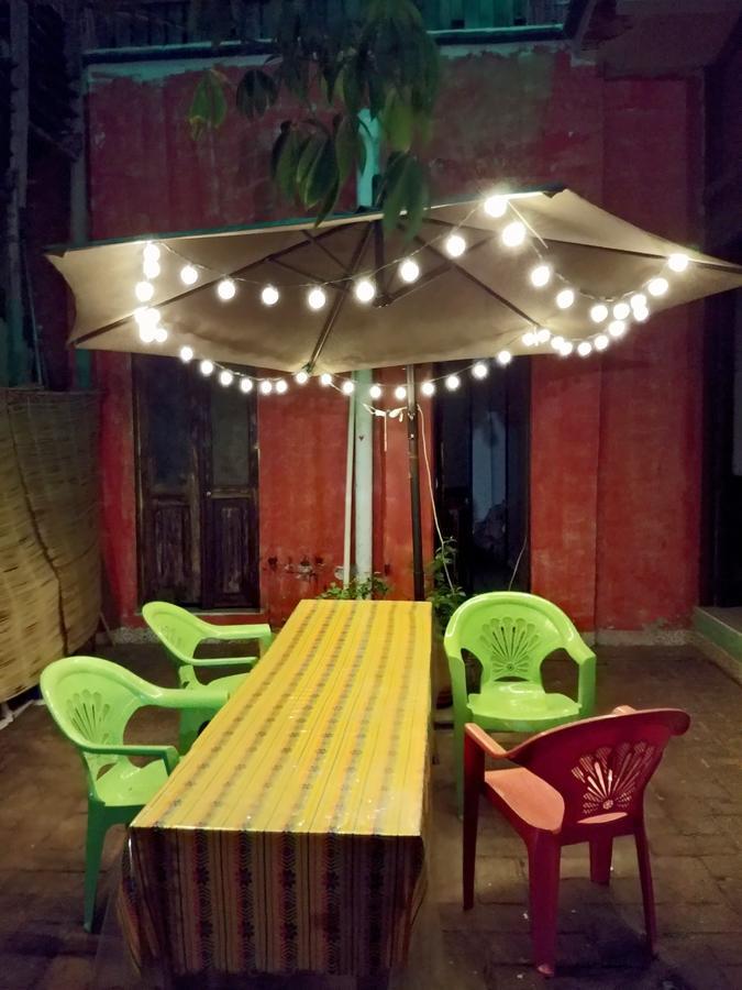 Iguana Oaxaca