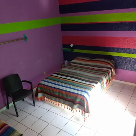 Iguana Hostel Oaxaca Exterior photo