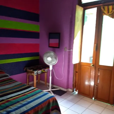 Iguana Hostel Oaxaca Exterior photo