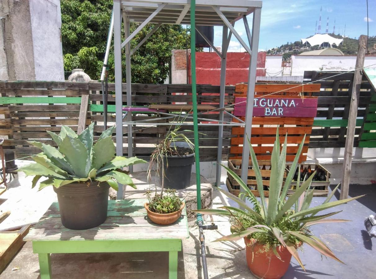 Iguana Hostal Oaxaca