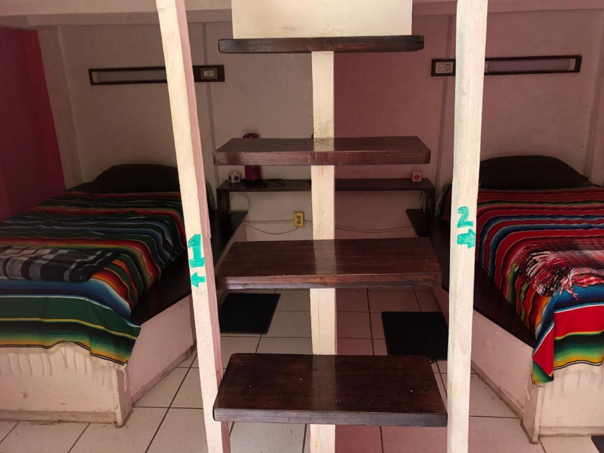 Hostal Iguana