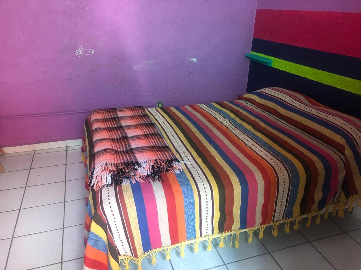 Iguana Hostal