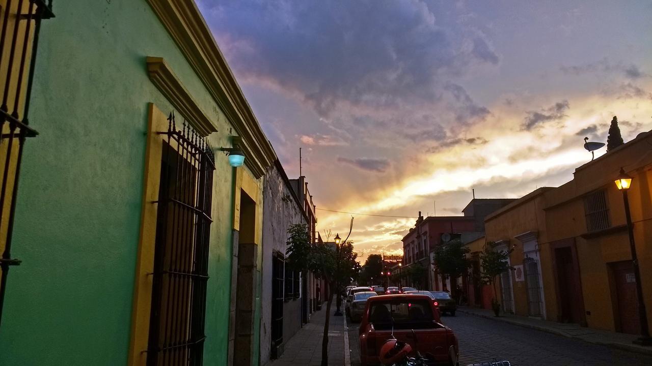 Iguana * Oaxaca