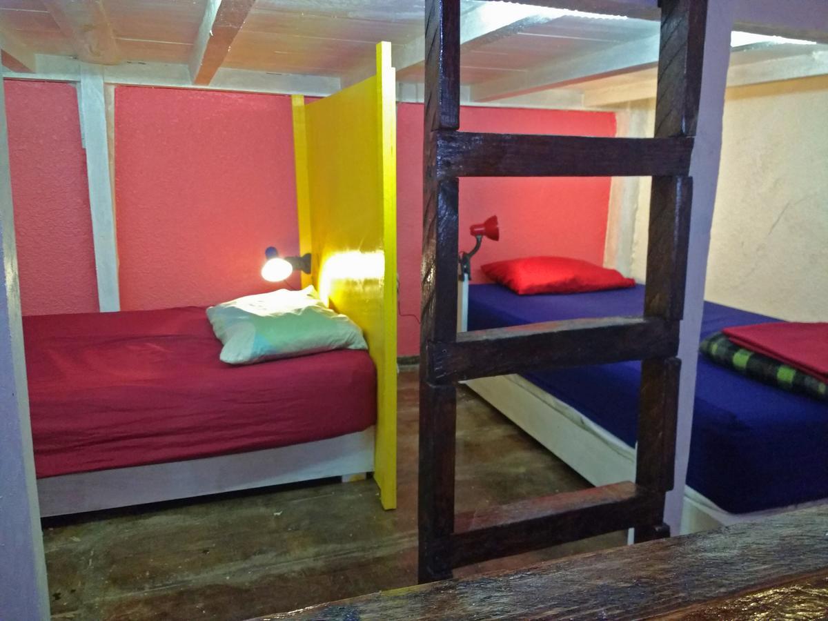 Iguana Hostal